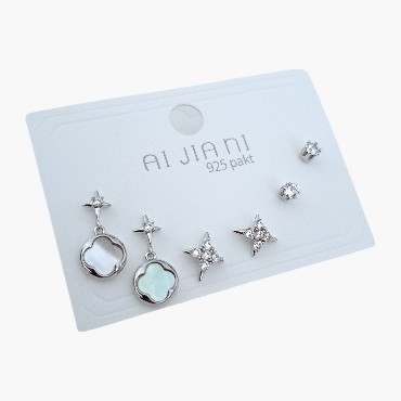 925 Ayar Gümüş İğneli 6'lı Set Küpe 2